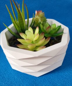 Large succulent holder