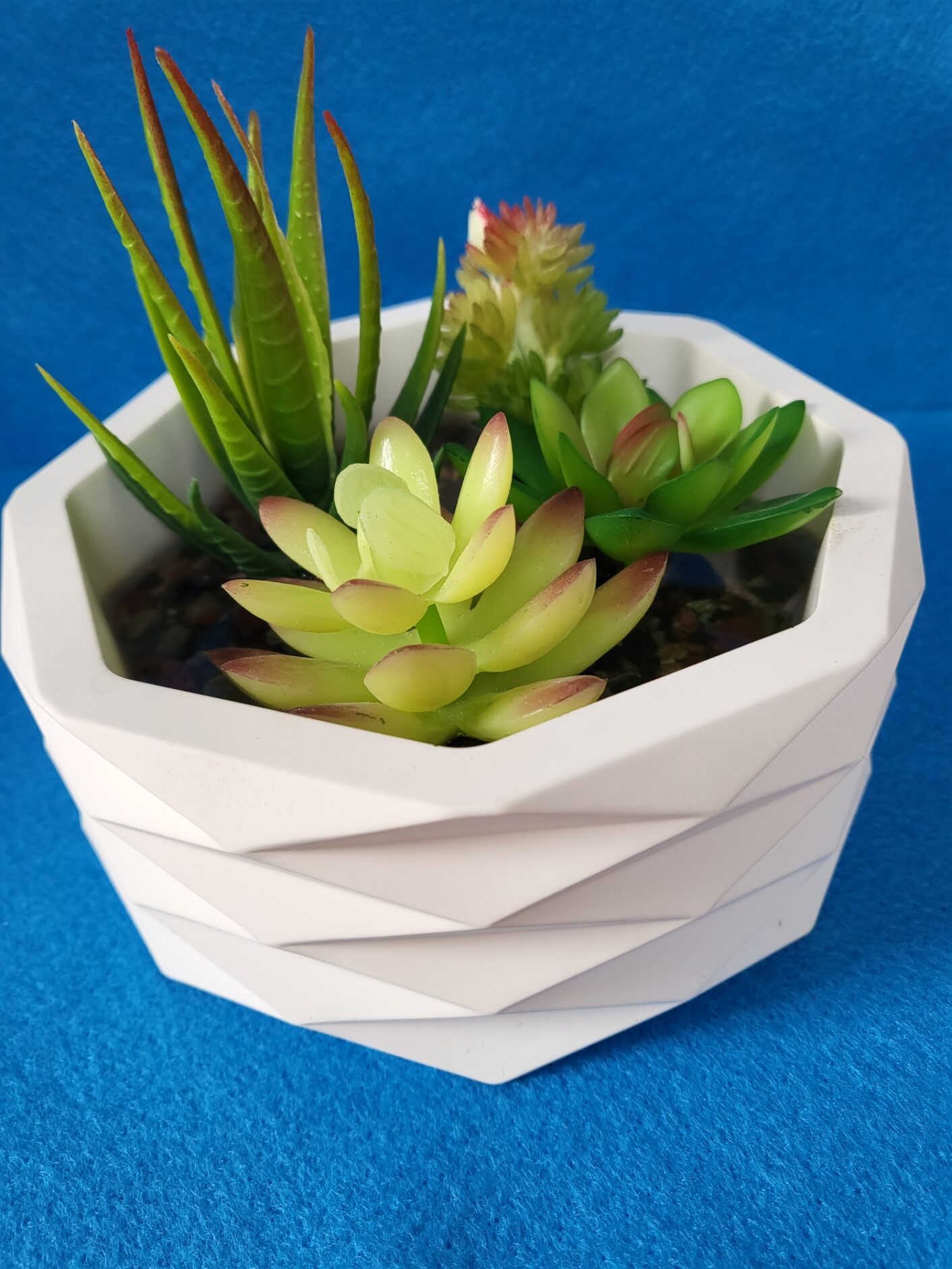 Large succulent holder