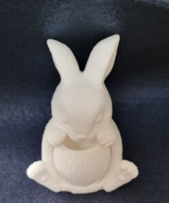 Paint your own rabbit