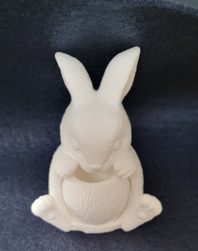 Paint your own rabbit