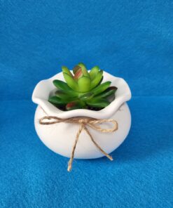 Wave edge succulent holder